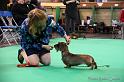 Crufts2011_2 1405